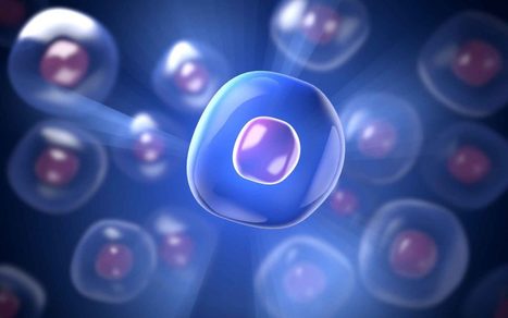 Breakthrough CRISPR technique unlocks insights about cancer immunology | Genetic Engineering Publications - GEG Tech top picks | Scoop.it