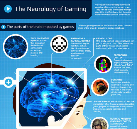 The Neurology of Gaming | Online Universities | Eclectic Technology | Scoop.it