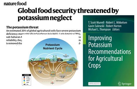 L’épuisement du potassium dans les sols menace-t-il les rendements agricoles mondiaux ? | Les Colocs du jardin | Scoop.it