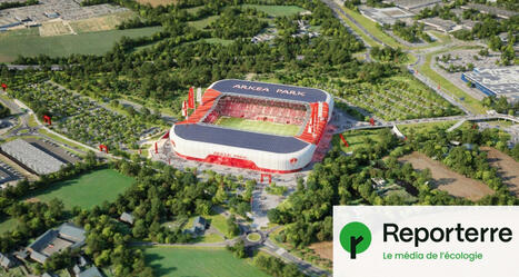 À Brest, le chantier du stade de foot suspendu en raison d’espèces protégées | Biodiversité - @ZEHUB on Twitter | Scoop.it