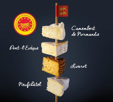 Camembert, livarot, pont-l'évêque et neufchâtel - 1 Route des fromages de Normandie pour 2018 | Veille territoriale AURH | Scoop.it