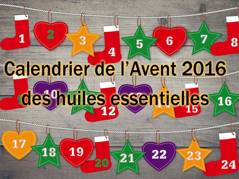 24 huiles essentielles pour préparer Noël   | La Cabane aux Arômes | Scoop.it