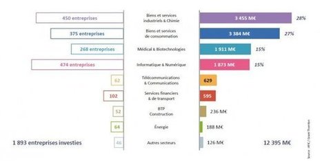 Un nombre record d’entreprises financées par le capital-investissement en France | Sud-Ouest intelligence économique | Scoop.it