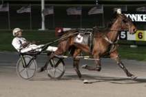 See You At Peelers among Matchmaker winners - Harness Racing Newsroom - USTA - USTROTTING | Racing News | Scoop.it