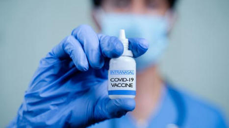 Nasal Spray Vaccines for COVID-19: a Viable Option or Too Little, Too Late? | Mucosal Immunity | Scoop.it