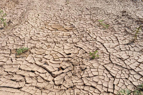 Comment adapter les politiques et activités socio-économiques dans une Bretagne à +4°C ? | Veille UrbaLyon : Santé environnementale & bienfaits du végétal | Scoop.it