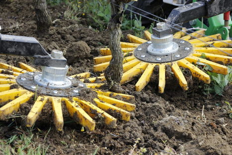 Le désherbage en transition - Naio Technologies | Pour innover en agriculture | Scoop.it