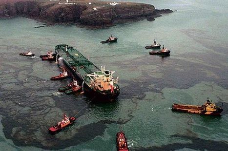 Twenty years after Sea Empress disaster wildlife has now recovered / www.walesonline.co.uk du 15.02.2016 | Pollution accidentelle des eaux (+ déchets plastiques) | Scoop.it