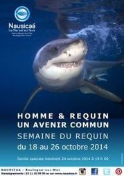 Les rendez-vous de la Semaine du requin à Nausicaá | Biodiversité - @ZEHUB on Twitter | Scoop.it