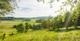 Démarches administratives, cartes remerciements décès… Toutes les grandes étapes de l’organisation des obsèques | Rapatriement de corps | Scoop.it