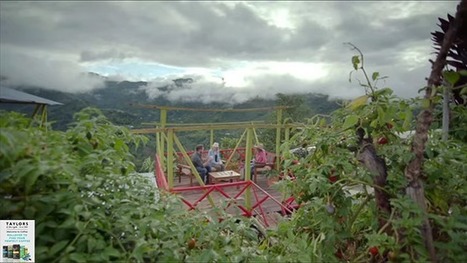 Brands Can Now Create Interactive Video Campaigns on Facebook and Instagram | MarketingHits | Scoop.it