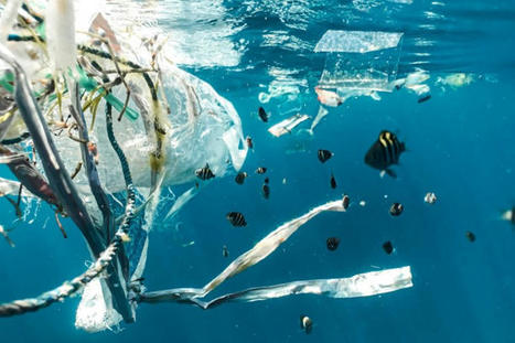 Plastiques dans l’océan : moins nombreux mais plus persistants que prévu | Toxique, soyons vigilant ! | Scoop.it