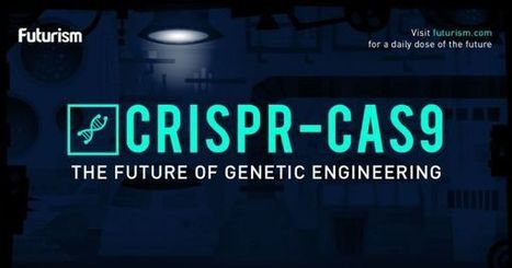 How CRISPR Works: The Future of Genetic Engineering and Designer Humans | IELTS, ESP, EAP and CALL | Scoop.it