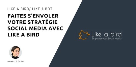Faites s'envoler votre stratégie Social Media avec Like a Bird - MBA MCI | Marketing Digital | Scoop.it