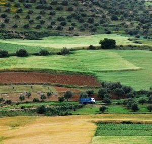 Maroc : financement du Plan Maroc Vert en faveur des exploitations familiales | CIHEAM Press Review | Scoop.it