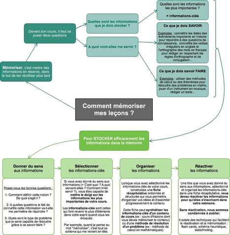 Aidez vos élèves (et vos enfants) à mémoriser efficacement leurs leçons – Donnez du sens à vos études | Cartes mentales | Scoop.it