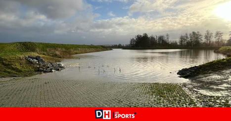 La Glanerie : Le bassin d&rsquo;orage d&eacute;montre son efficacit&eacute; face au risque d&rsquo;inondation de l&rsquo;Elnon (vid&eacute;o) - La DH/Les Sports+ | Ecod&eacute;veloppement territorial | Scoop.it