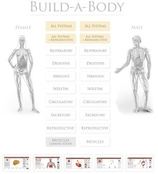 Free Technology for Teachers: An Interactive Build a Body Lesson | iGeneration - 21st Century Education (Pedagogy & Digital Innovation) | Scoop.it