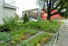 Décryptage : des potagers partagés au ras du bitume | Les Colocs du jardin | Scoop.it