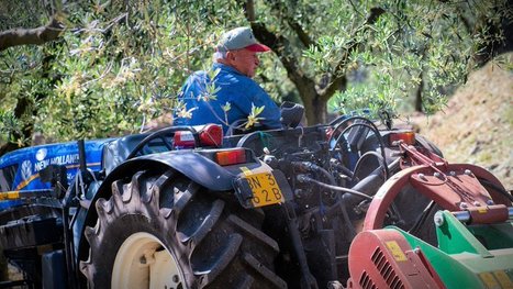 New Law in ITALY Establishes Role of Farmers in Protecting Environment | MED-Amin network | Scoop.it
