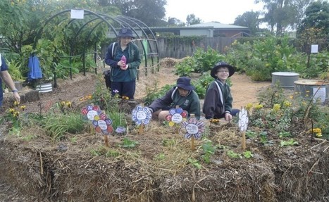 Hay Bale Garden In Straw Bale Gardening Scoop It