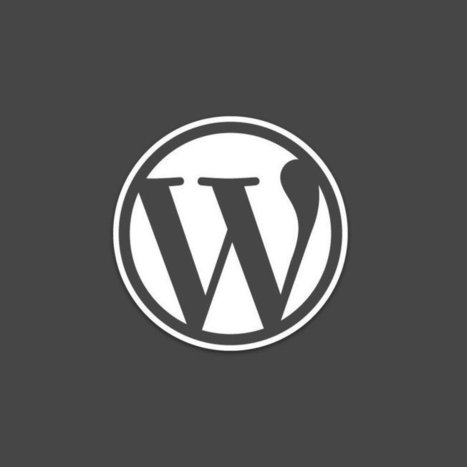 Kritik: 12 tolle WordPress-Plugins und was davon übrig bleibt - Sajonara.de - Internetmagazin | Wordpress-Webdesign | Scoop.it