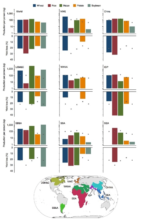 Nature Ecology & Evolution: The global burden of pathogens and pests on major food crops (2019) | Plants and Microbes | Scoop.it