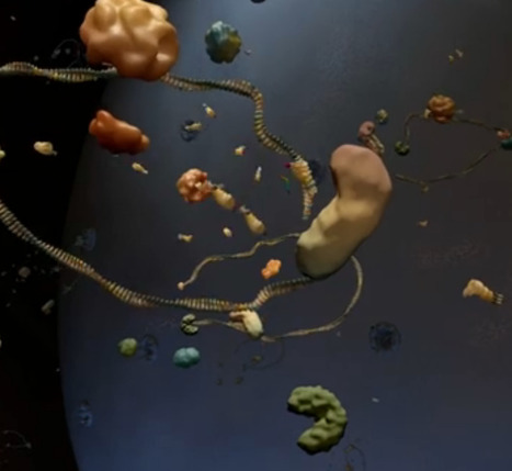 RNA interference (RNAi) | Natural Products Chemistry Breaking News | Scoop.it