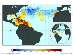 La Différentiation Algorithmique ou un éloge de la paresse. | Dr. Goulu | Scoop.it