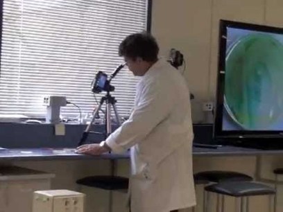 Using live high definition video in microbiology | Digital Learning - beyond eLearning and Blended Learning | Scoop.it