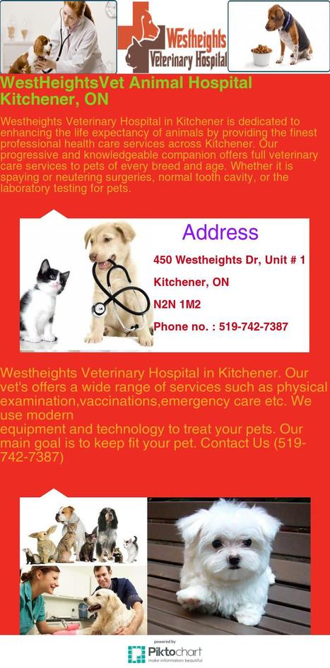 Westheightsvet Animal Hospital Kitchener On N