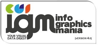 Before and After Google Penguin - iNFOGRAPHiCs MANiA | Tampa Florida Marketing | Scoop.it