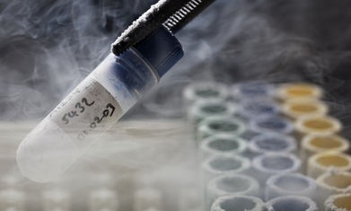 US doctors update gamete donation guidelines | Bio&eacute;thique & Procr&eacute;ation | Scoop.it