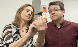 Un gel intelligent pour attaquer le cancer - UdeMNouvelles | Research  | Canada | 21st Century Innovative Technologies and Developments as also discoveries, curiosity ( insolite)... | Scoop.it