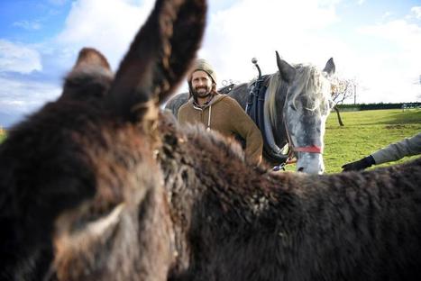 Jeune éleveur à l'ancienne - La Montagne | Pour innover en agriculture | Scoop.it
