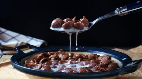 "L'inaction n'est plus tol&eacute;rable" : des m&eacute;decins alertent sur l'exposition au cadmium, responsable d'une "flamb&eacute;e de #CancersDuPancr&eacute;as" chez les jeunes @Dr_ASEF @Anses_fr #Pr&eacute;vention #Risques @San... | autour du CANCER | Scoop.it