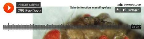 Podcast Science 299 &ndash; Evo-devo | EntomoScience | Scoop.it