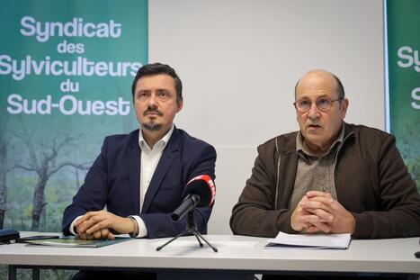 N&eacute;matode du pin&nbsp;: les sylviculteurs n&rsquo;ont-ils vraiment pas re&ccedil;u les courriers pour les informer de la pr&eacute;sence du ver&nbsp;? | Landes - Conseils municipaux & communautaires | Scoop.it