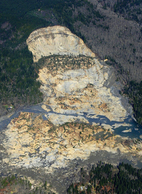 Logging and Mudslides | Stage 4 Landforms & Landscapes | Scoop.it