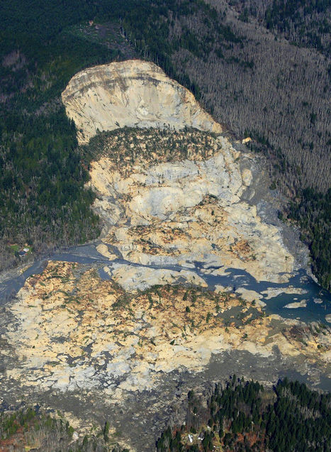 Logging and Mudslides | Coastal Restoration | Scoop.it