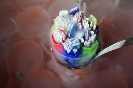 PMA&nbsp;: le casse-t&ecirc;te de&nbsp;la gestion des dons de gam&egrave;tes | Bio&eacute;thique & Procr&eacute;ation | Scoop.it