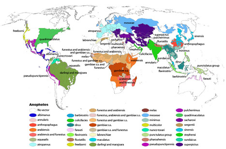 Des entomologistes marocains, algériens et tunisiens s’unissent pour un premier projet scientifique commun | EntomoNews | Scoop.it