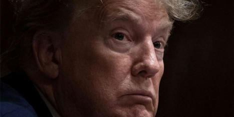 'Disaster': Expert says Trump's prospects have gone from 'bad to worse' as E. Jean Carroll trial wraps up - RawStory.com | Operation Oya | Scoop.it