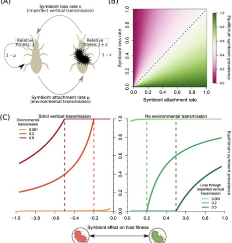The bacterial march toward symbiosis: on-ramps and off-ramps | tin | RMH | Scoop.it