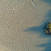 Biodiversité et climat : il est urgent de sortir des politiques en silos | Regards croisés sur la transition écologique | Scoop.it