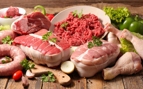 Bovin viande : le maigre plutôt épargné, mais l’incertitude est grande pour les animaux finis | Actualité Bétail | Scoop.it