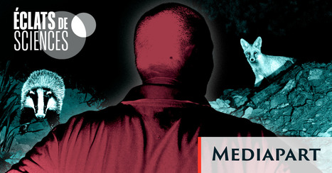 La peur que les humains inspirent affecte la faune sauvage | EntomoScience | Scoop.it