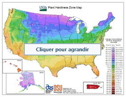 Les prédateurs marins et plantes vivaces font cap au Nord en raison du réchauffement climatique | HALIEUTIQUE MER ET LITTORAL | Scoop.it