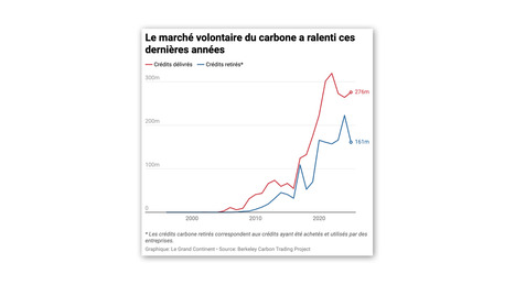 DURABILITES : La compensation carbone favorise l'accaparement de terres | RESSOURCES | Scoop.it