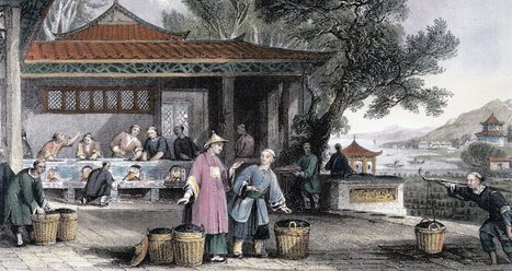 The British Botanist Who Destroyed 19th Century China's Economy By Stealing Tea | IELTS, ESP, EAP and CALL | Scoop.it
